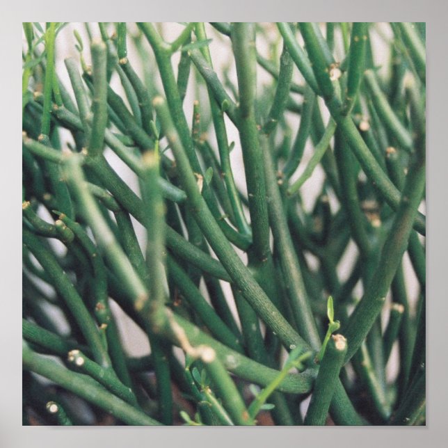 Pennräknare - Anpassad Poster (Framsidan)