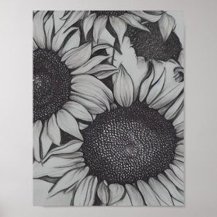 Pennritade solblommor poster
