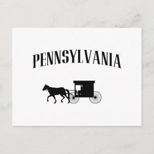 Pennsylvania Amish Carriage Vykort