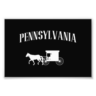 Pennsylvania Amish vagn Fototryck