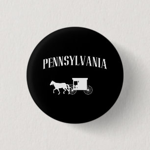 Pennsylvania Amish vagn Knapp