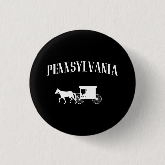 Pennsylvania Amish vagn Knapp