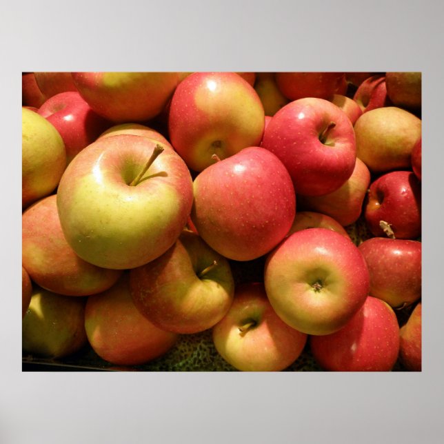 Pennsylvania Apples Poster, 30,67" x 23" Poster (Framsidan)