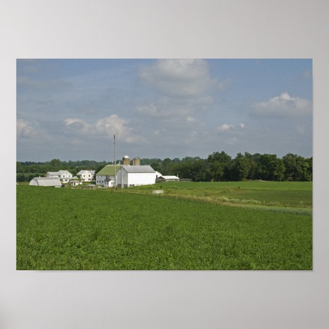 Pennsylvania Countryside Poster (Framsidan)