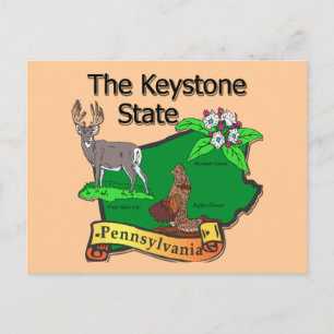 Pennsylvania, den statliga fågellappen Keystone Hj Vykort