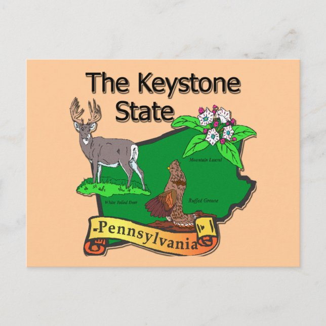 Pennsylvania, den statliga fågellappen Keystone Hj Vykort (Framsida)
