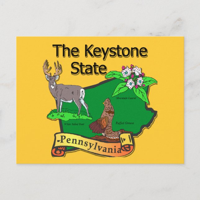 Pennsylvania, den statliga fågellappen Keystone Hj Vykort (Framsida)