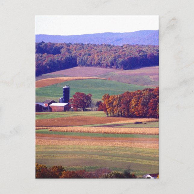 Pennsylvania Farm på hösten Vykort (Framsida)