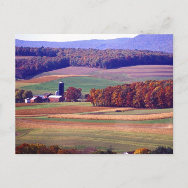 Pennsylvania Farm på hösten Vykort (Framsida)