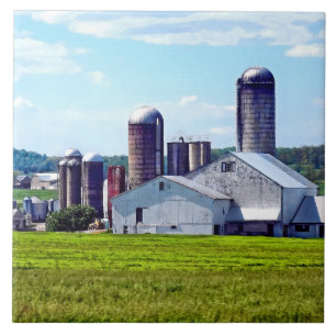 Pennsylvania Farm with Silos Kakelplatta