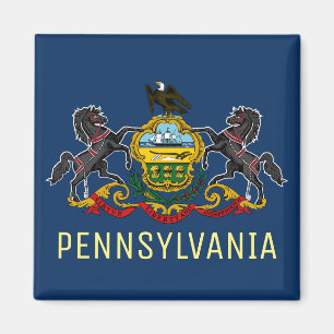 Pennsylvania Flagga Magnet