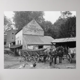 Pennsylvania gård, 1906. Gammalt foto Poster