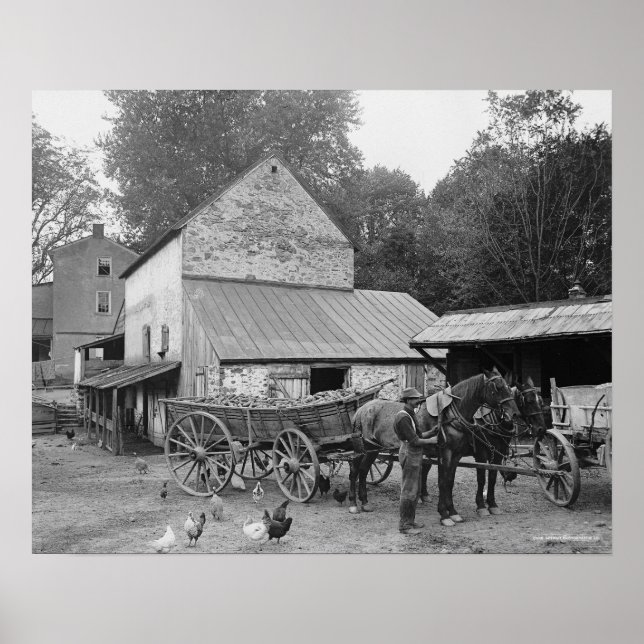 Pennsylvania gård, 1906. Gammalt foto Poster (Framsidan)
