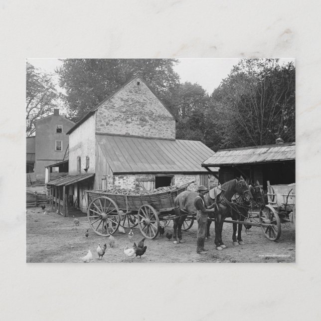 Pennsylvania gård, 1906 vykort (Framsida)