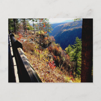 Pennsylvania Grand Canyon-Leonard Harris St Park Vykort