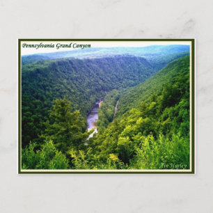 Pennsylvania Grand Canyon på sommaren Vykort