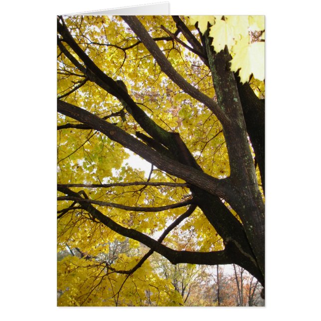 Pennsylvania Guld Hälsningskort (Framsidan)