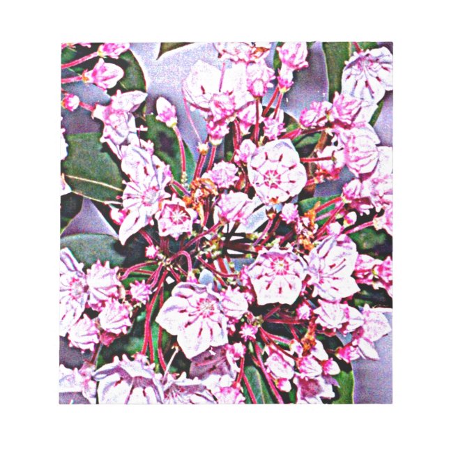 Pennsylvania Mountain Laurel Anteckningsblock (Framsida)