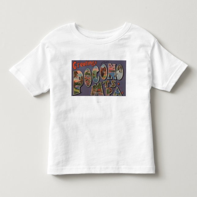 Pennsylvania - Pocono Mountians T Shirt (Framsida)