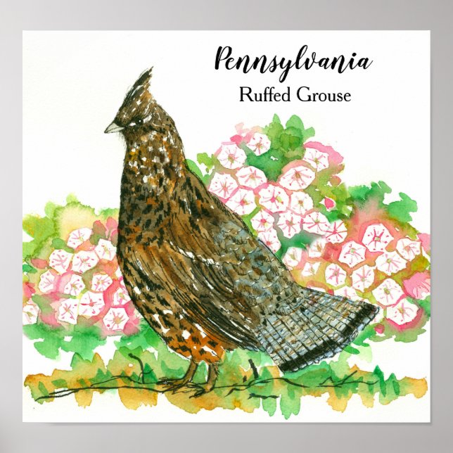 Pennsylvania Ruffed Grouse Mountain Laurel Poster (Framsidan)