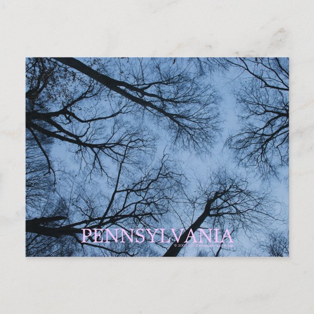 Pennsylvania som rör vid himlen vykort (Framsida)