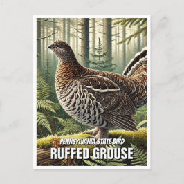 Pennsylvania State Bird Ruffed Grouse Vykort
