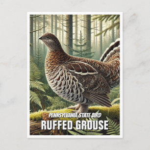 Pennsylvania State Bird Ruffed Grouse Vykort