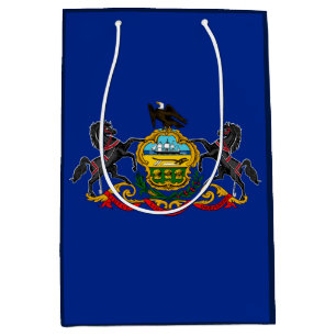 Pennsylvania Statlig flagga Design