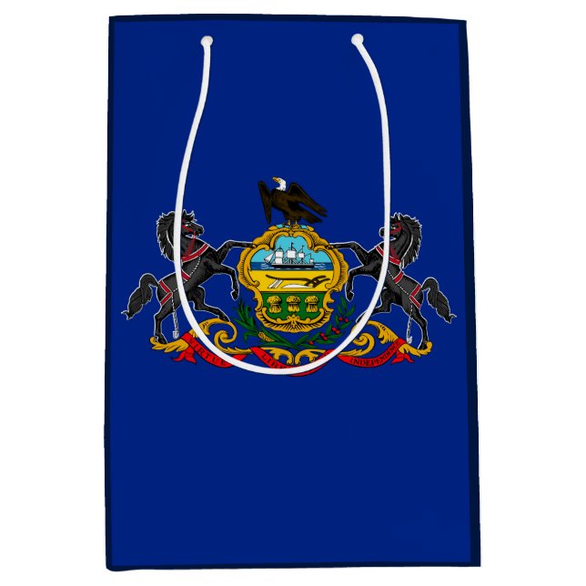 Pennsylvania Statlig flagga Design (Framsidan)