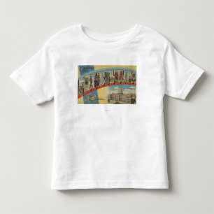 Pennsylvania (statlig huvudstad/blomma) 2 tee shirt