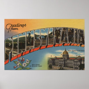 Pennsylvania (statligt kapital/blomma) 2 poster