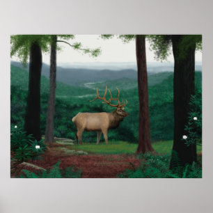 Pennsylvanianälg Poster