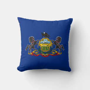 Pennsylvanias statsflagga kudde