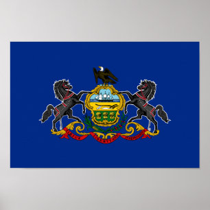 Pennsylvanias statsflagga poster