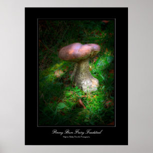 Penny Bun Fairy Toadstool gallery-stil poster