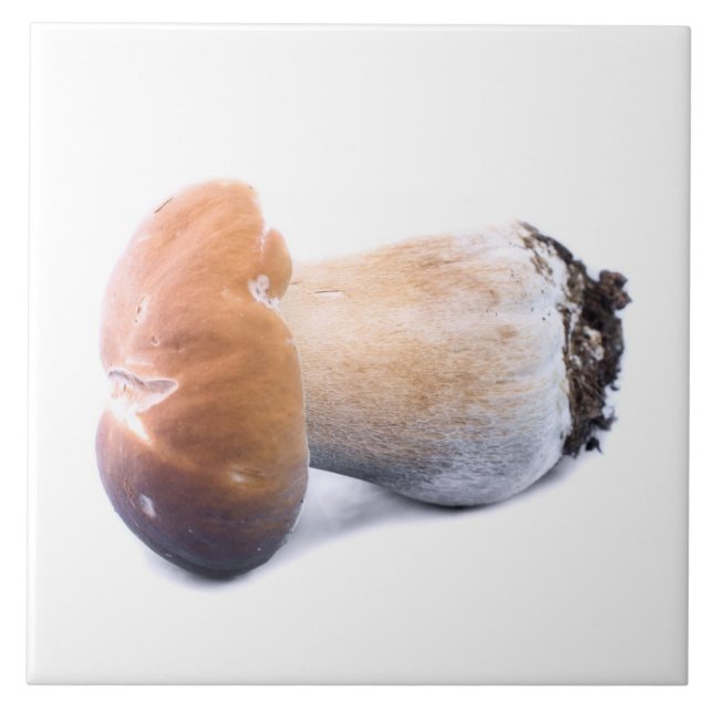 Penny bun kakelplatta (Framsidan)