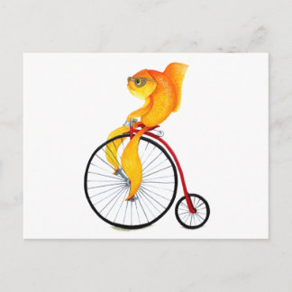 Penny Farthing Fish Vykort