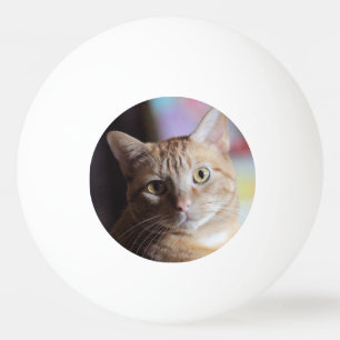 Penny Pingisboll