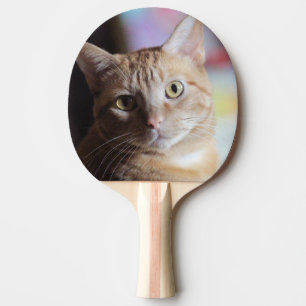 Penny Pingisracket