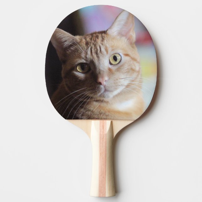 Penny Pingisracket (Framsidan)