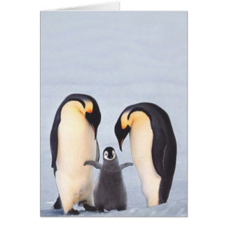 Penquin familj hälsningskort