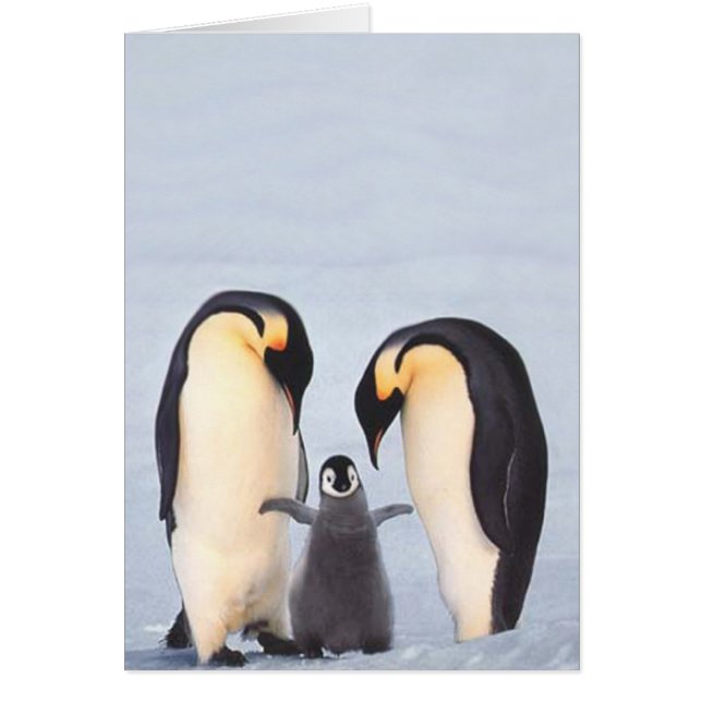 Penquin familj hälsningskort (Framsidan)