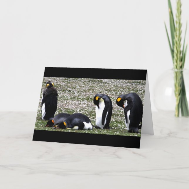 Penquin Mondays Notecard Kort (Framsida)