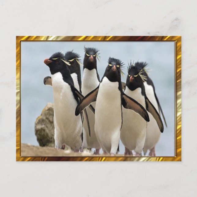 Penquin Walking Vykort (Framsida)