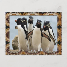 Penquin Walking Vykort