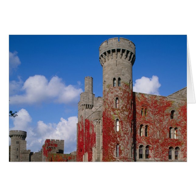 Penrhyn Castle, Gwynedd, Wales 3 Hälsningskort (Framsidan Horizontal)