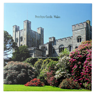 Penrhyn Castle, Wales Kakelplatta