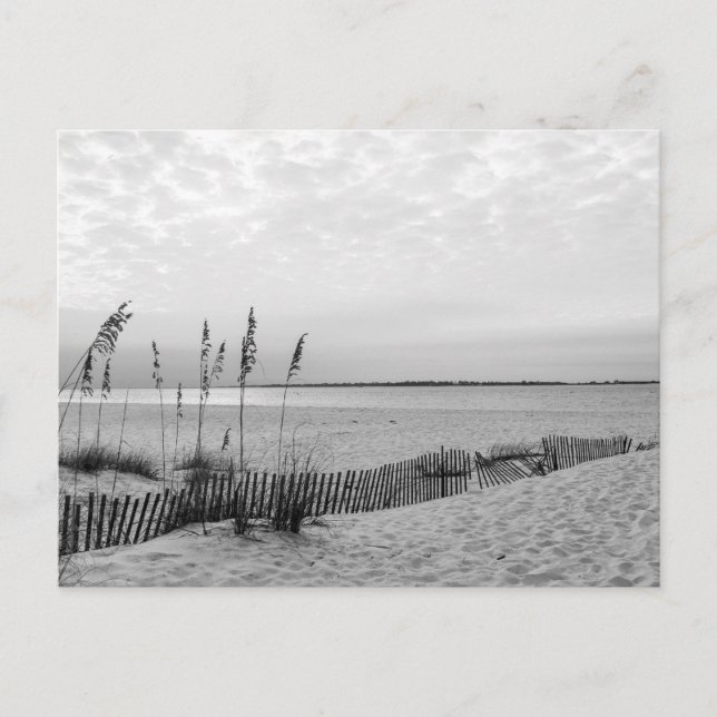 Pensacola Beach - B&W Helg Vykort (Framsida)