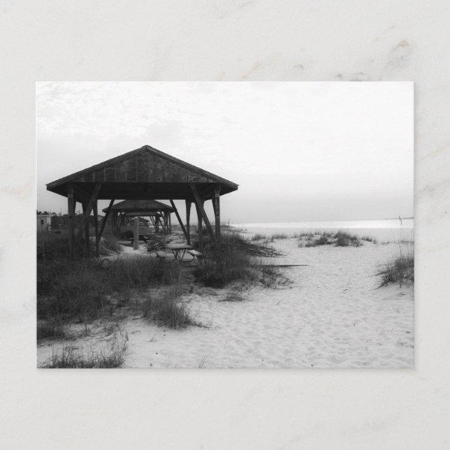Pensacola Beach Shades Helg Vykort (Framsida)