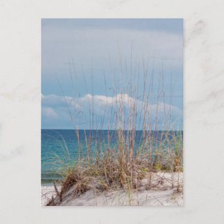Pensacola Beach Vykort